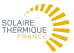 Logo stf